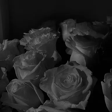 Profile image of グク