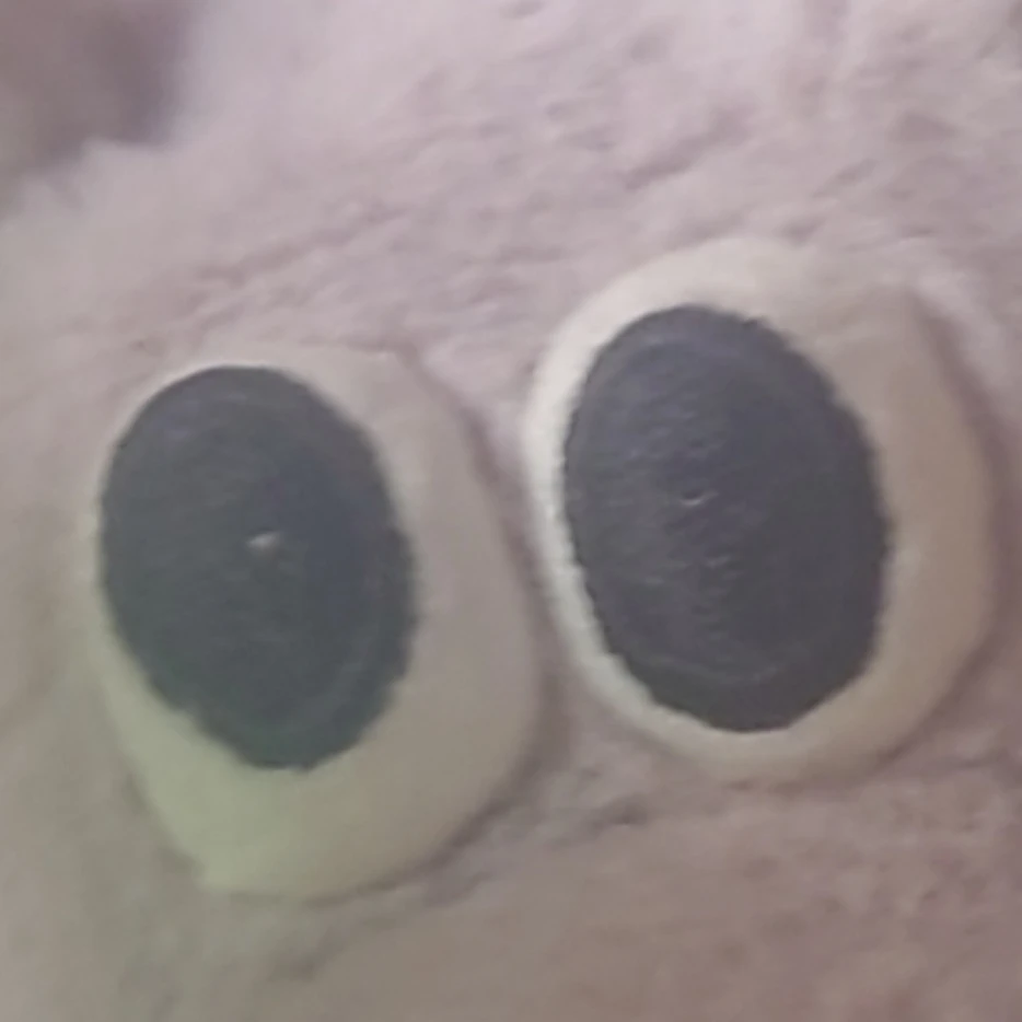 たけし