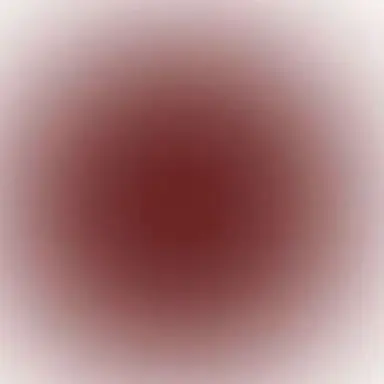 Profile image of 舜太
