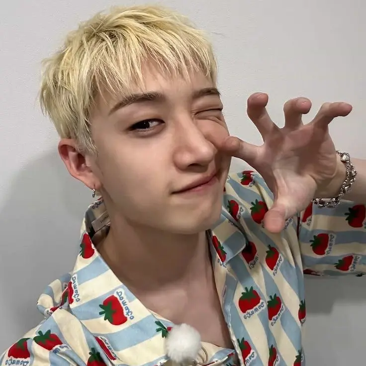 levv4nter의 Bang Chan - Reunited