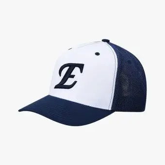 JerkyMucus4512의 한화 감독으로서의 이야기