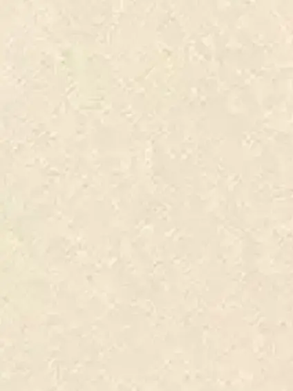 HarshPie8528의 진격의 거인 리바이로 살아보기