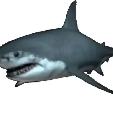 Profile image of 나머지