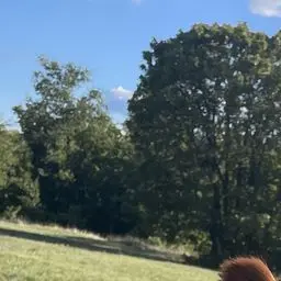 Profile image of ___