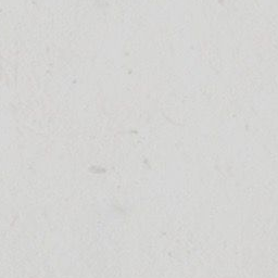 244 대표 이미지