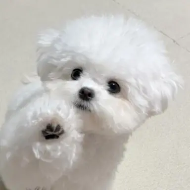 Profile image of 학생들
