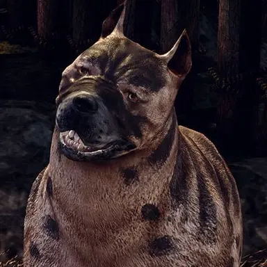 Profile image of Bark-Spawn