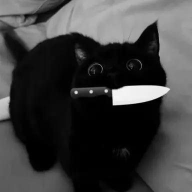 Profile image of 킬러 고양이