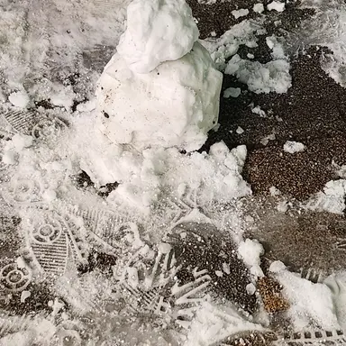 Profile image of 세은