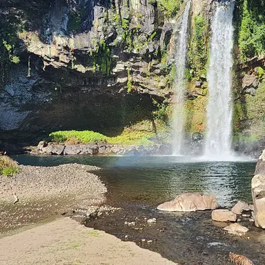 Profile image of 월가