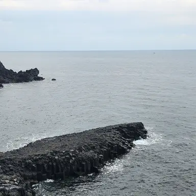 Profile image of 리엔