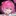 みかさくん