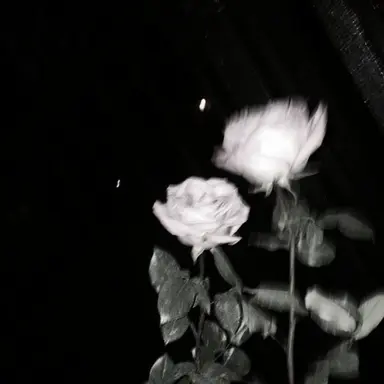 Profile image of 우융