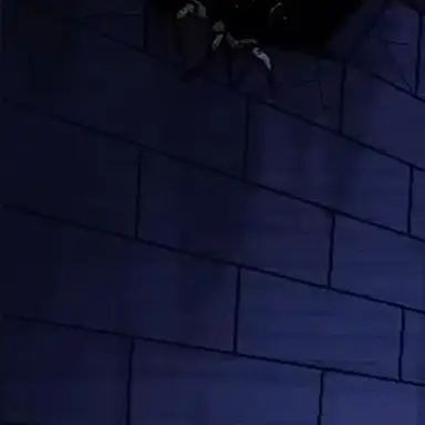 Profile image of ....