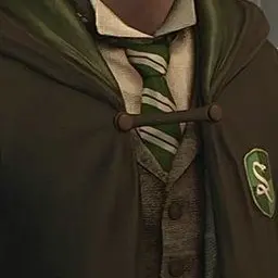 Profile image of オミニス・ゴーント