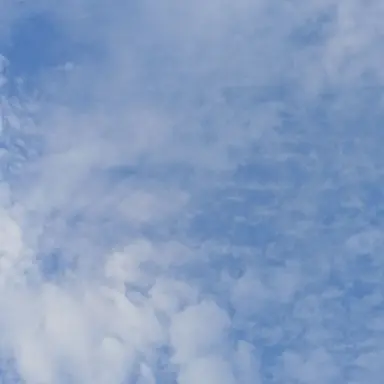 Profile image of 늑대