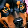 Profile image of 匿名 H