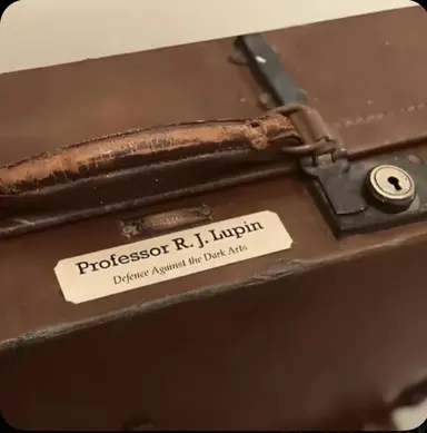 Profile image of Professor remus lupin