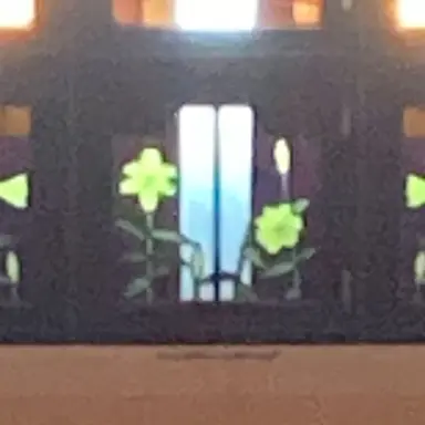 Profile image of 菊