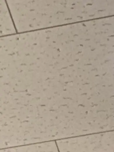 Kurosann의 ただいま。