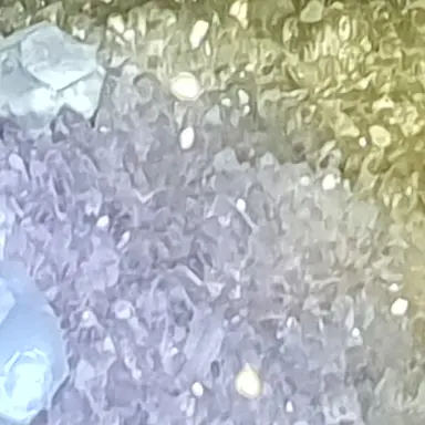 Profile image of 레오리오