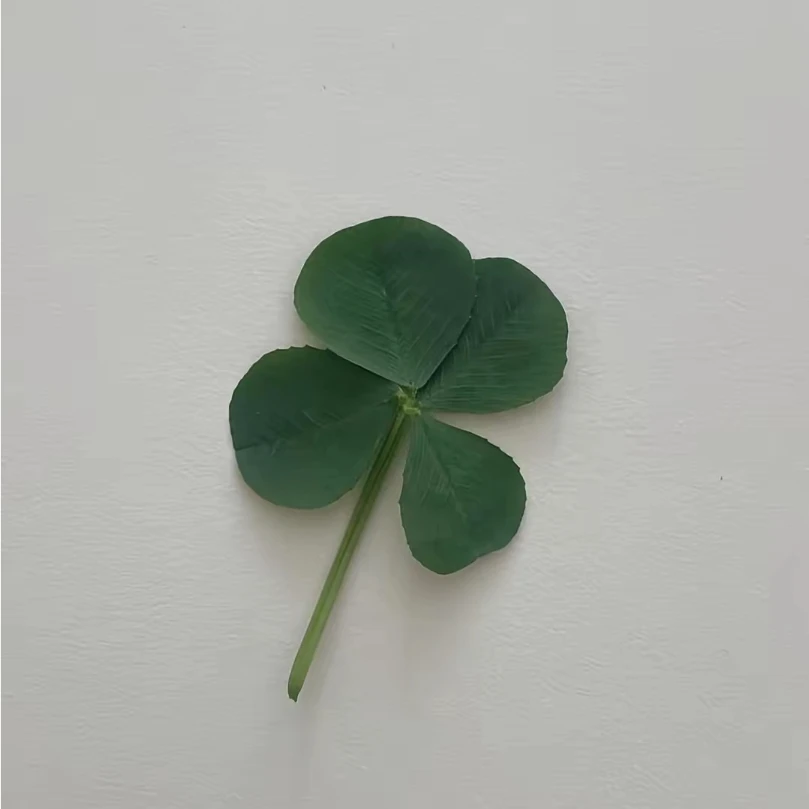 의사선생님