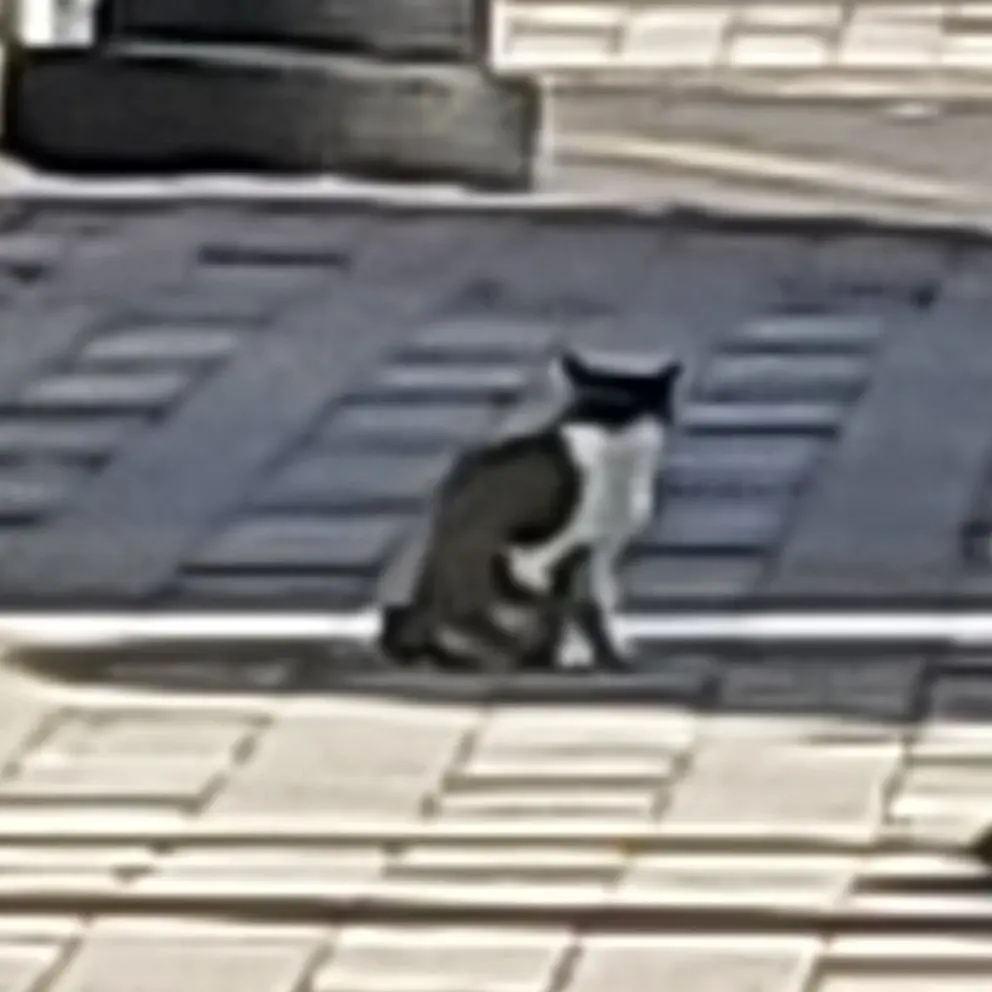 PlumAlarm1657의 퀸즈 스쿨