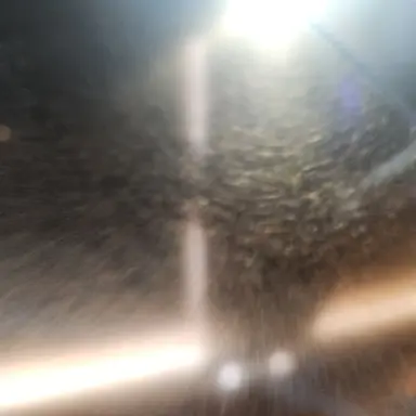 Profile image of 누사이르 가브리엘