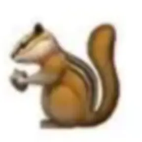 Profile image of 前川 流輝