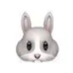 Profile image of 網代 聖人