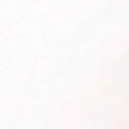 FickleSpit6590의 世界が混ざってしまった！？