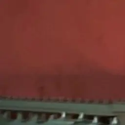 Profile image of 김애리