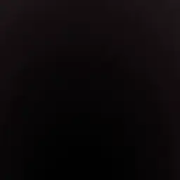 -skz.99의 化け狐