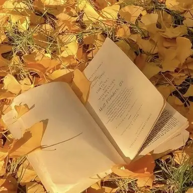 Profile image of 각별