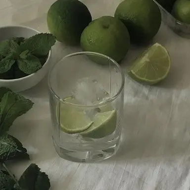 Profile image of 공룡