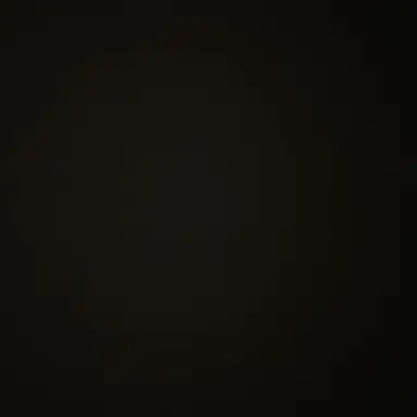 Profile image of 김 승 민