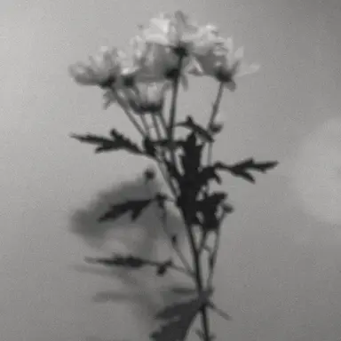 Profile image of 조해인