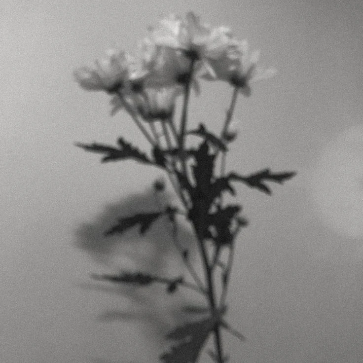 조해인