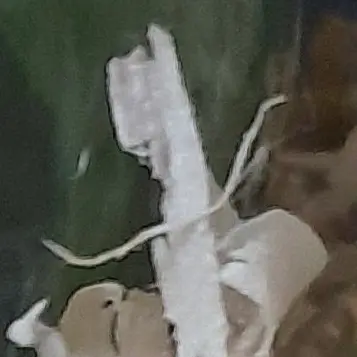Profile image of 박늑대