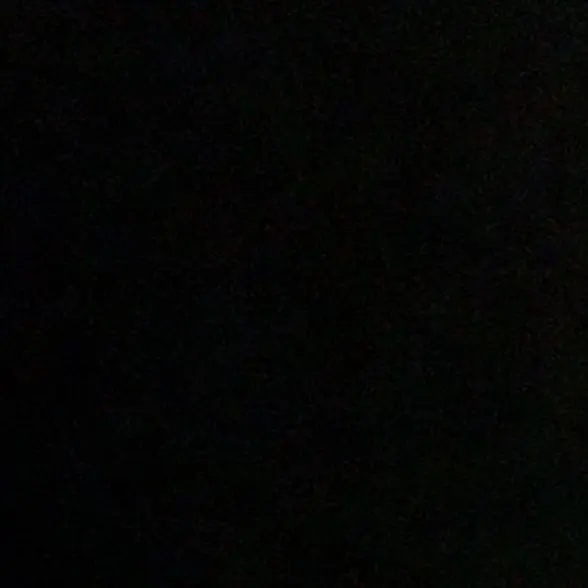 SolemnShed2629의 수지선배