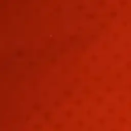 Profile image of 花京院