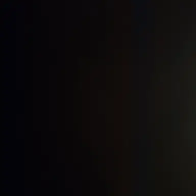 Profile image of 홍팸