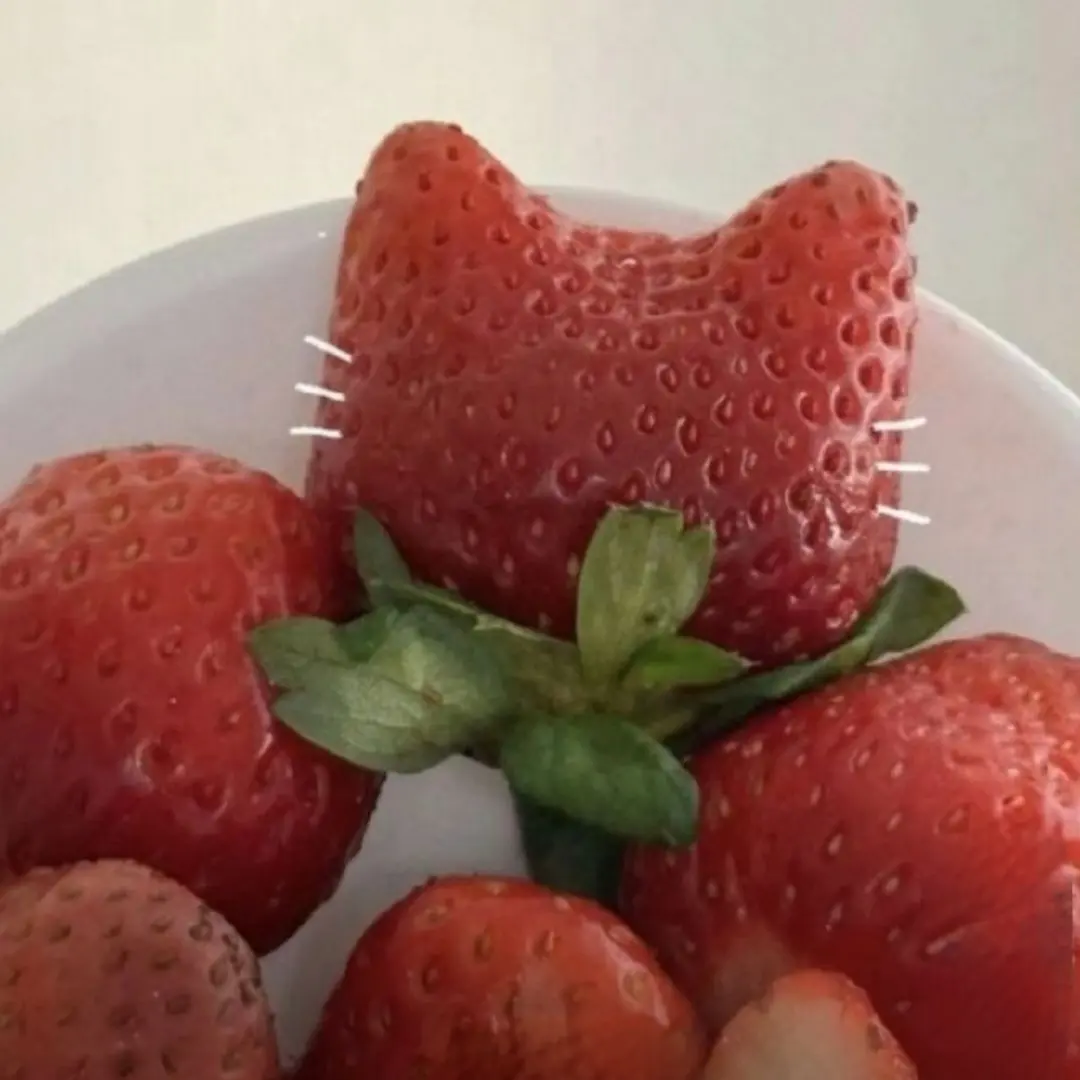 RawSleet9622의 아이브와 함께 지내기❤