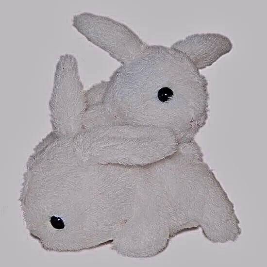 Petiter_.als의 𝒟ℯ𝓁𝓅𝒽𝒾𝓃𝒾𝓊𝓂