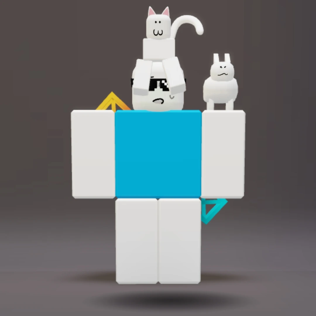 B_cat비캣