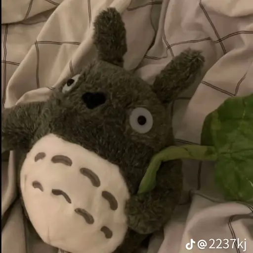 CozyKea1054의 하예진