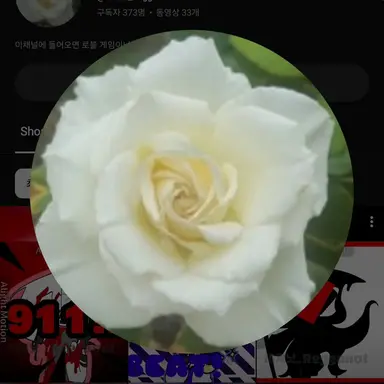 Profile image of 레게낫