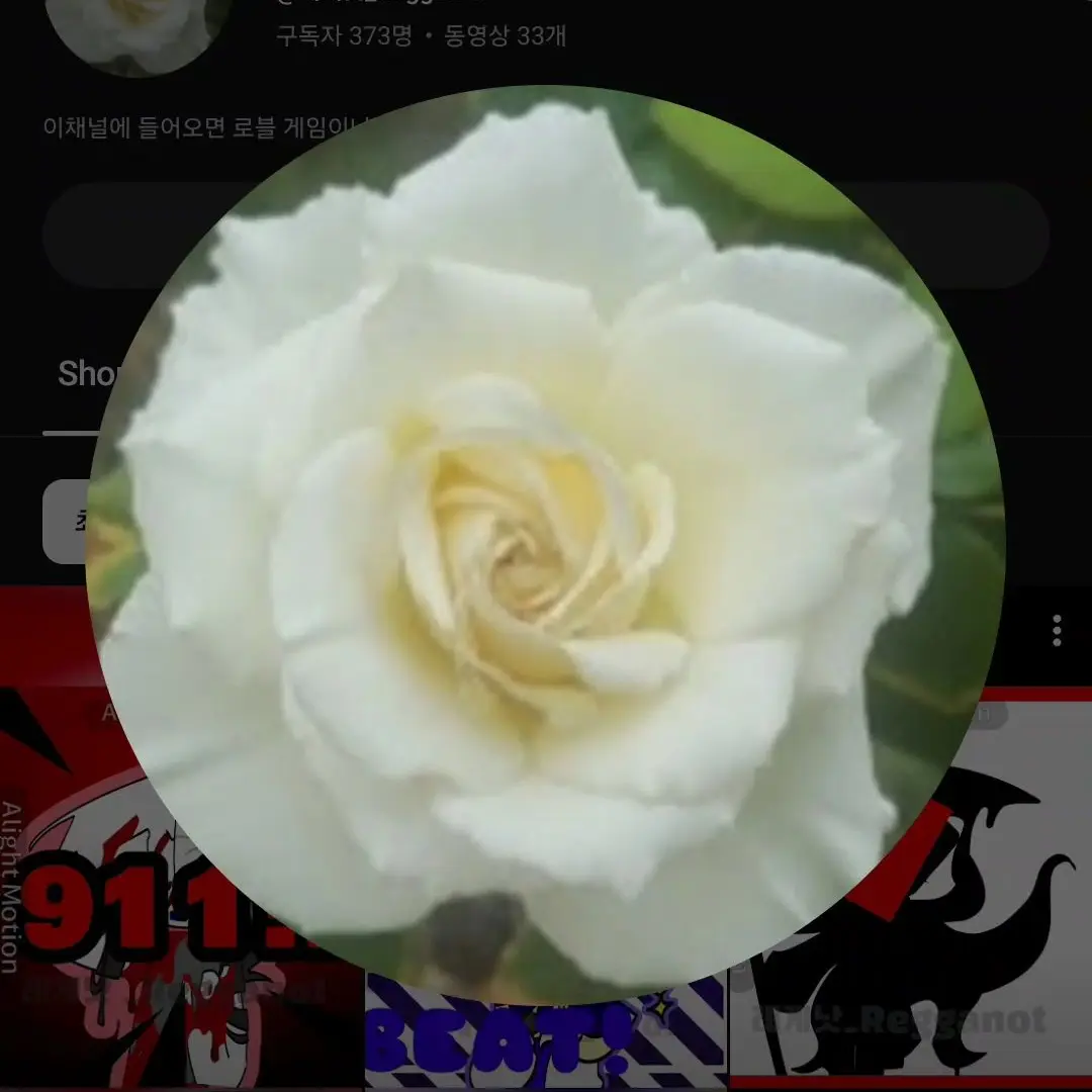 5038373928의 레게낫_Regganot