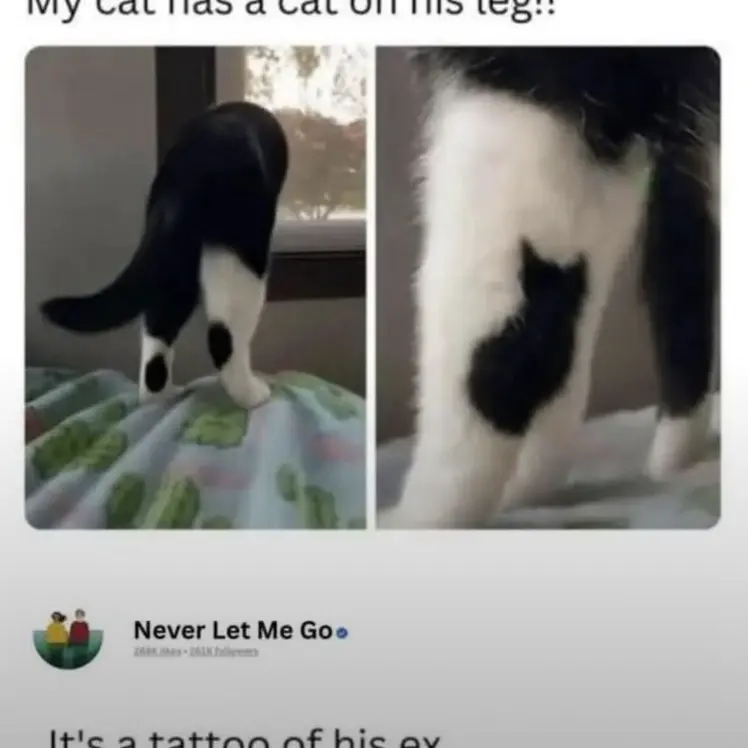 PlumpDiary3203의 Draco malfoy