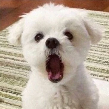 정해수